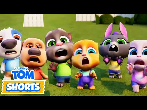Talking Tom - Nasty Little Bugs - Episode 219 Compilation - Super Toons TV - Cartoons
