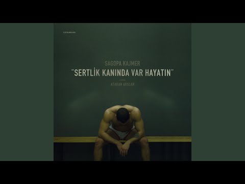 Sagopa Kajmer - Sertlik Kanında Var Hayatın cover