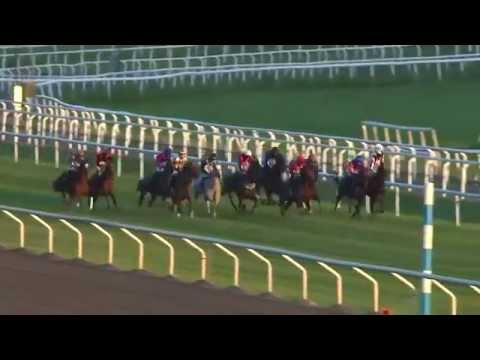 2014.06.10 Stockholms Stora Pris - Bank Of Burden