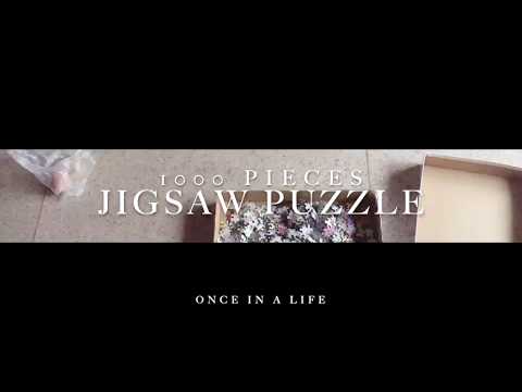 Jigsaw Puzzle Time-lapse (1000 Pieces - Four Seasons)