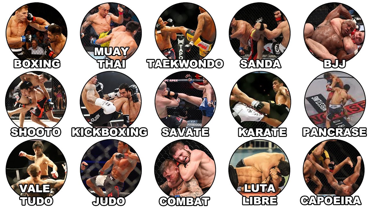 Every Martial Art in the UFC Explained in 36 Minutes