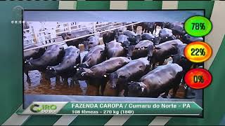 Miniatura do vídeo