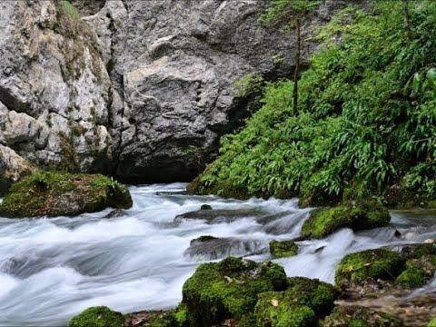 Radmila Dinić - S one strane vode Sane