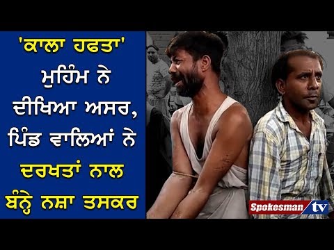 'ਕਾਲਾ ਹਫਤਾ' ਮੁਹਿੰਮ ਨੇ ਦੀਖਿਆ ਅਸਰ, ਪਿੰਡ ਵਾਲਿਆਂ ਨੇ ਦਰਖਤਾਂ ਨਾਲ ਬੰਨ੍ਹੇ ਨਸ਼ਾ ਤਸਕਰ