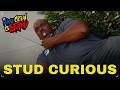 STUD CURIOUS THE WHOLE CREW IS STUPID