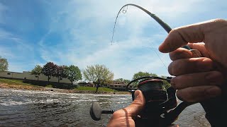 This SPILLWAY is LOADED! (Exploring Waterways w/ @DYangBass) | Wisconsin EP 3/3