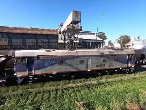 44208 at Manildra NSW (video 2).  Tue 25th Feb 2020