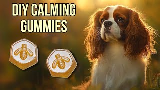 DIY Calming Treats for Dogs | Easy Dog Calming Treats That Actually Work!