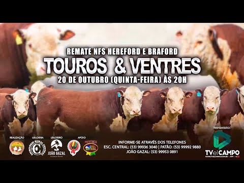 20/10 20H REMATE DE TOUROS E VENTRES HEREFORD E BRAFORD DE SVP