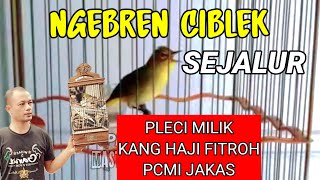 Download lagu pleci ngebren ciblek sejalur koleksi pleci mewah Haji Fitroh PCMI JAKAS , cocok untuk Pleci G12 mp3