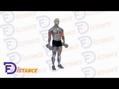 Curl alterné avec rotation - Exercice Curl alterné avec rotation en vidéo