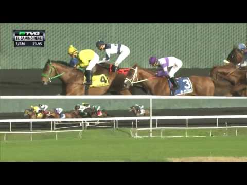 RACE REPLAY: 2017 El Camino Real Derby Featuring Zakaroff