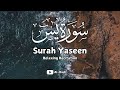 Surah Yaseen Mishary Rashid Alafasy Video Quran Islam Muslim Ramadan Shorts Tilawat