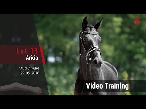 13 Aricia v. Arango - Riccione_Trainingsvideo