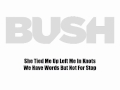 BUSH "Stand Up" Lyric Video