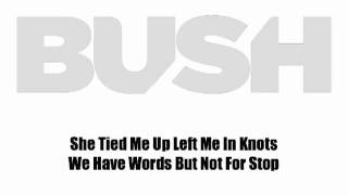 BUSH &quot;Stand Up&quot; Lyric Video