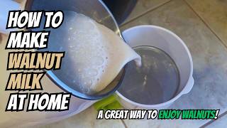 I Make Walnut Milk For Brain Health 🧠 EASY Nut Milk Maker Recipe (Blood Type A+ Recipe)