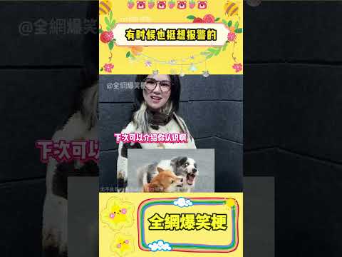 完了，茅臺因為我失去了一個好朋狗... #小狗今年最后悔的决定 #萌宠出道计划 #小狗 #搞笑 #shorts #fyp #viral #Subscribe #Trending #youtube