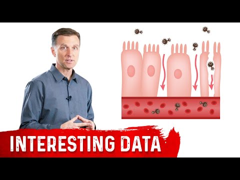 Intestinal Permeability or Leaky Gut