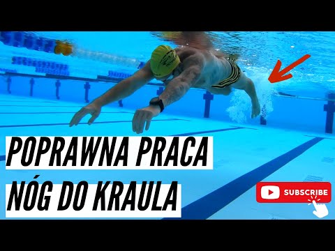 JAK PRACOWAĆ NOGAMI DO KRAULA ?