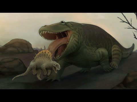 When Giant Amphibians Ruled the World