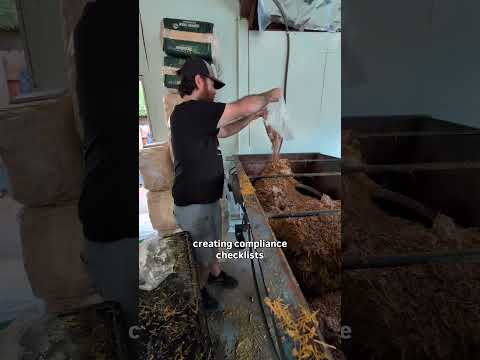 Day 131 of building a mushroom farm