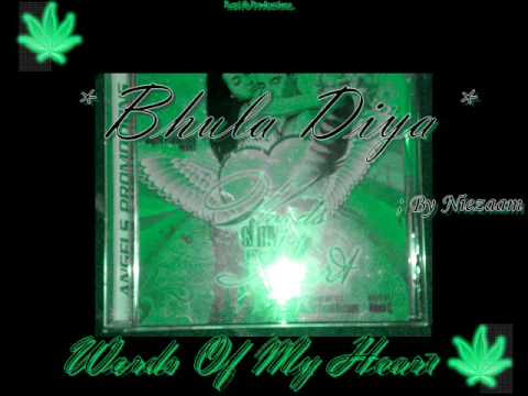 Niezaam - Bhula Diya !!