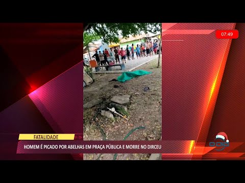 Homem é picado por abelhas em praça pública e morre no Dirceu 27 12 2021