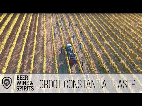 How is Wine Made? 🍇 Groot Constantia, the oldest Wine-producing Estate in South Africa (Teaser)