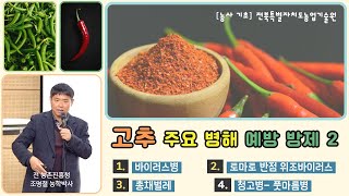 [ 고추 병해 예방과 방제 NO2 ]  토마토 반점 위조바이러스, 청고병 -  알아야 대응 합니다!