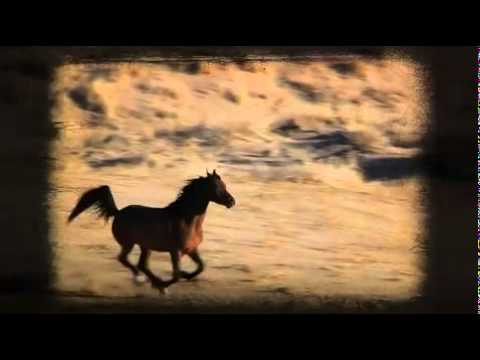 "Path to Glory" Trailer