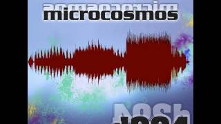 Distant 294 : Microcosmos : Aurora Borealis