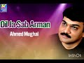 Dil Ja Sab Arman Ahmed Mughal New Sindhi Song