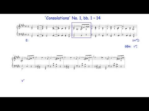 Extended Chords or Interaction of Harmony and Non-Harmony Notes? An Example by F. Liszt