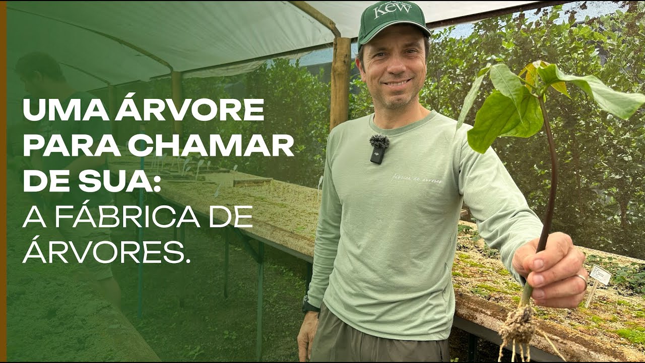 A Tree to Call Your Own: The Fantastic Tree Factory