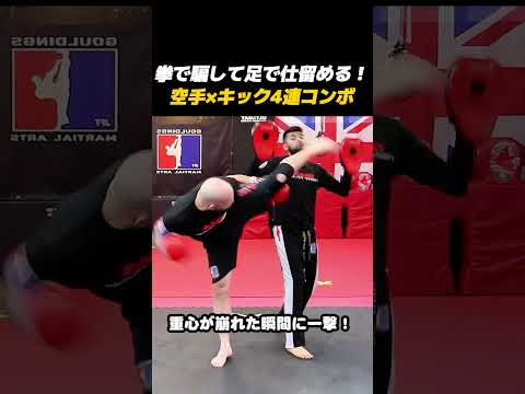 空手とキックが融合したらヤバいｗｗ絶対に避けられない必殺4連コンボ