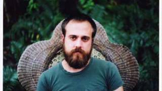 Iron &amp; Wine - The Trapeze Swinger