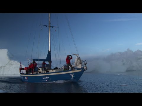 download lagu mp3 mp4 Berserk Expedition, download lagu Berserk Expedition gratis, unduh video klip Berserk Expedition