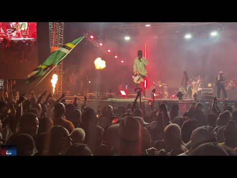 Wck Band  Performance live Creole festival music at Dominica #wck #worldcreolefestival #doublejay509