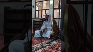 صورة DrAlsoger 2016 12 05 02 16