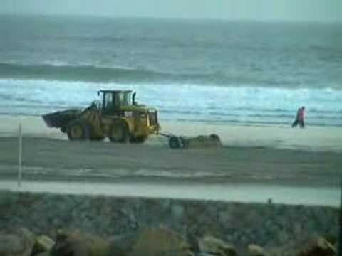04/12/07Raking Shard Beach
