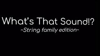 What’s That Sound? (Strings)