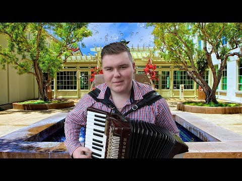 Ermin Hamidovic Cane - Necu lijeka, ni ljekare (Muzika Uzivo)