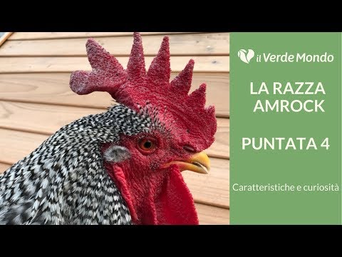 Farmaco indiano di dolori articolari Il dolore in un medico per il trattamento