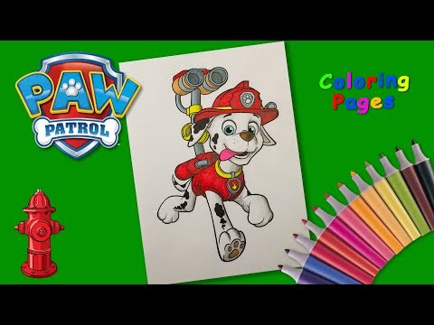 Marshall Coloring Pages. Paw patrol Coloring book. How to draw Paw Patrol Pups. Video