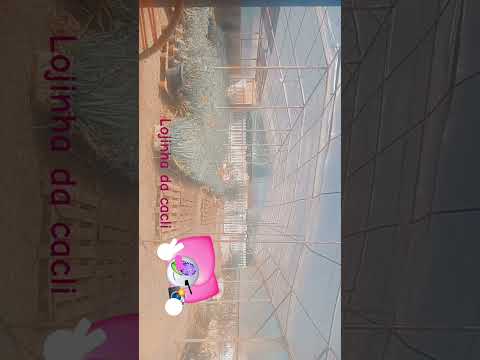 oi gente eu fico aqui em SANTA CARMEM de Mato Grosso na lojinha da claci a rosa do deserto $10,00🩷