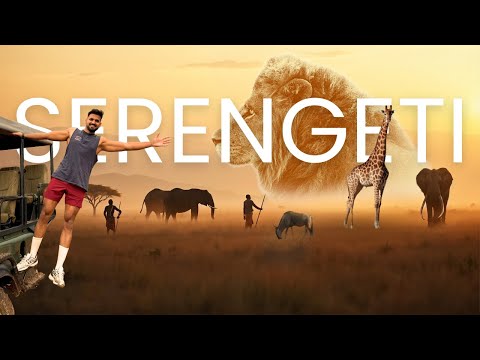 3 Days in the Wild: Serengeti & Ngorongoro! 🇹🇿