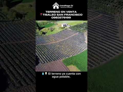 #inmobiliaria #terrenoenventa #tisaleo #tungurahua #agricultura