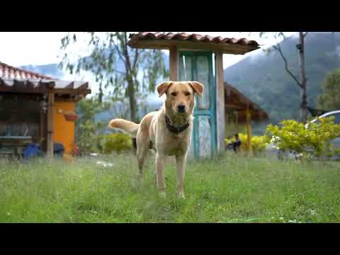 storytelly iglesia vieja soata boyaca