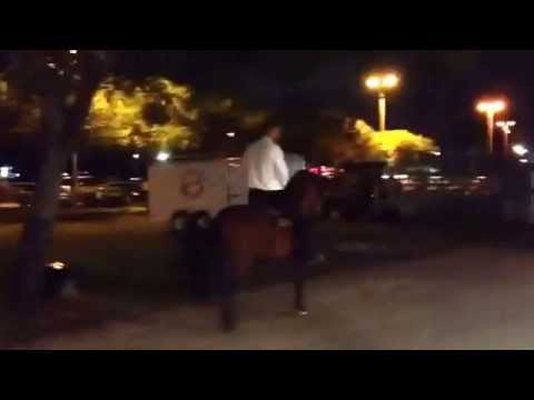 Millonario de JH (Davinci x Rubi de JH)